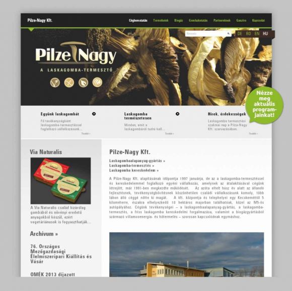 Pilze-Nagy Kft. weboldal